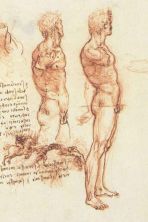 Haga click para ver la imagen ampliada sketches - study of a man.jpg